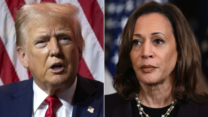 Harris's Latino Gamble: Will Her Policies Win Over Voters? Trump's Counterpunch