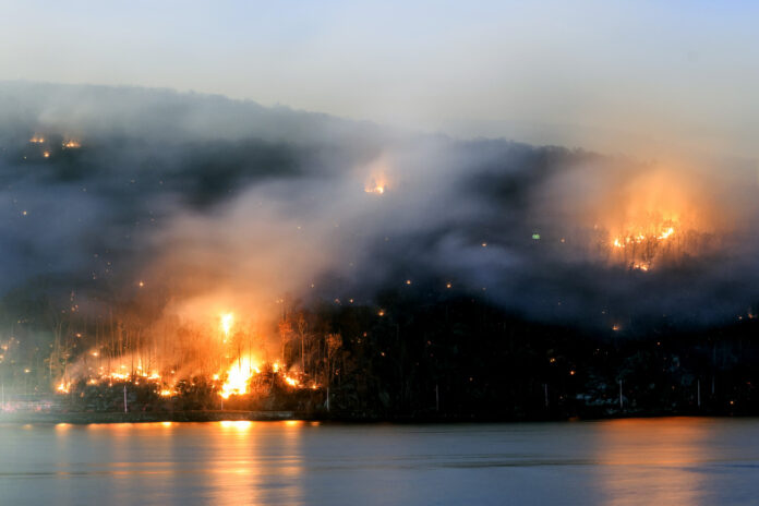 New York vs. New Jersey: The Wildfire Feud You Didn’t See Coming