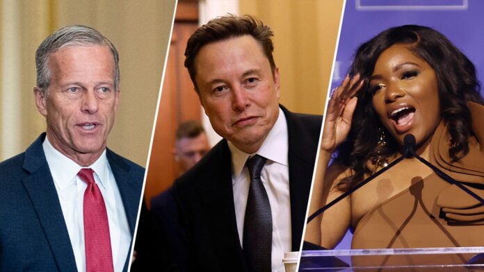 Musk's DOGE Departure Splits Washington: Hero or Villain?